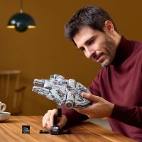 LEGO® Star Wars™ 75375 Millennium Falcon™ (1)