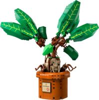 LEGO® Harry Potter™ 76433 Mandragora (1)