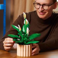 LEGO® Botanicals 11504 Lopatkovec (1)