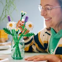 LEGO® Botanicals 11508 Margarétky (1)