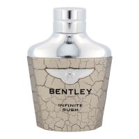Bentley Infinite Rush (1)