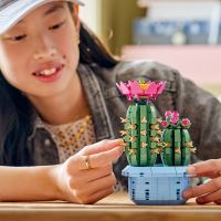 LEGO® Botanicals 11509 Kvitnúci kaktus (1)