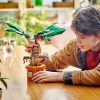 LEGO® Harry Potter™ 76433 Mandragora (2)