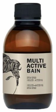 DEAR BEARD Multi Active Bain 250 ml