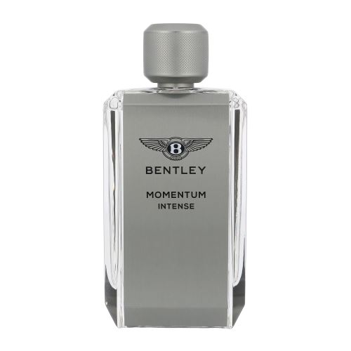 Bentley Momentum Intense parfumovaná voda pre mužov 100 ml