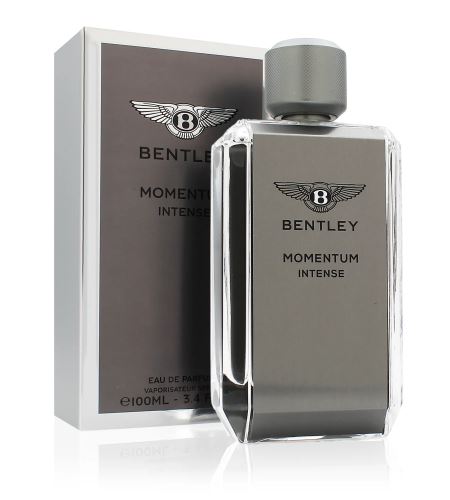 Bentley Momentum Intense parfumovaná voda pre mužov 100 ml